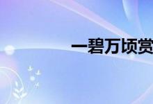 一碧万顷赏析（一碧万顷）