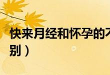 快来月经和怀孕的不同（快来月经和怀孕的区别）