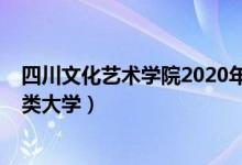 四川文化艺术学院2020年艺术类（2022年四川有哪些艺术类大学）