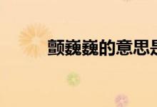 颤巍巍的意思是（颤巍巍的意思）