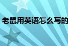老鼠用英语怎么写的(老鼠用英语怎么说读)