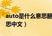 auto是什么意思翻译成中文（auto是什么意思中文）