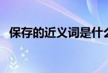保存的近义词是什么词语(保存的近义词)