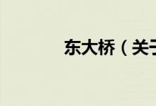 东大桥(关于东大桥的介绍)