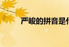 严峻的拼音是什么(严峻的拼音)