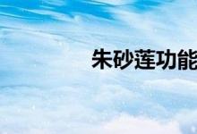 朱砂莲功能主治(朱砂莲)