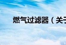 燃气过滤器(关于燃气过滤器的介绍)