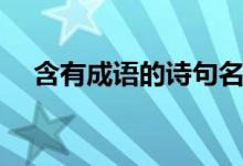 含有成语的诗句名句(含有成语的诗句)