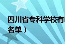 四川省专科学校有哪些（2022最新高职院校名单）
