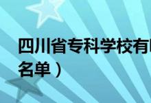 四川省专科学校有哪些（2022最新高职院校名单）