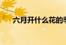 六月开什么花的季节（六月开什么花）