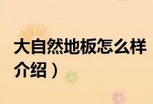 大自然地板怎么样(关于大自然地板怎么样的介绍)
