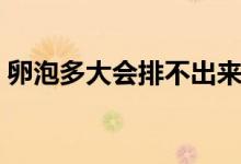 卵泡多大会排不出来（卵泡多大会排出卵子）