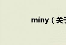 miny(关于miny的介绍)