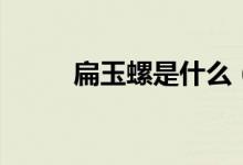 扁玉螺是什么（扁玉螺是什么属）