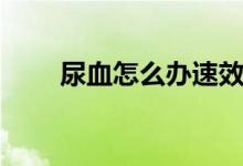 尿血怎么办速效方法(尿血怎么办)