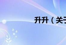升升（关于升升的介绍）