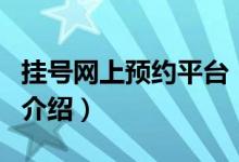 挂号网上预约平台（关于挂号网上预约平台的介绍）