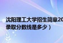 沈阳理工大学招生简章2021分数（2021沈阳理工大学各省录取分数线是多少）