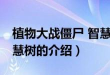 植物大战僵尸 智慧树（关于植物大战僵尸 智慧树的介绍）