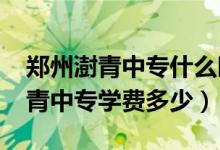 郑州澍青中专什么时候开学（2022年郑州澍青中专学费多少）