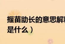 揠苗助长的意思解释2年级（揠苗助长的意思是什么）