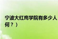 宁波大红鹰学院有多少人（宁波大红鹰学院怎么样？评价如何？）