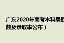 广东2020年高考本科录取人数（2022广东高考本科录取人数及录取率公布）