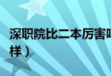 深职院比二本厉害吗（深圳职业技术学院怎么样）