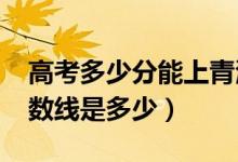 高考多少分能上青海师范大学（2020录取分数线是多少）