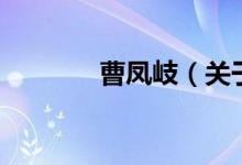 曹凤岐（关于曹凤岐的介绍）