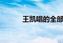 王凯唱的全部歌曲(王凯简历)