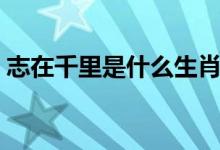 志在千里是什么生肖（志在千里是什么意思）