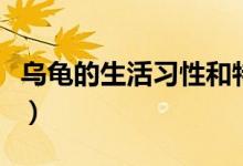 乌龟的生活习性和特点作文(乌龟的生活习性)