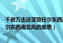 千磨万击还坚劲任尔东西南北风的作文（千磨万击还坚劲任尔东西南北风的意思）