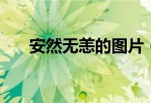 安然无恙的图片（安然无恙的近义词）