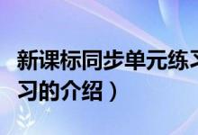 新课标同步单元练习（关于新课标同步单元练习的介绍）