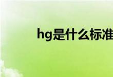 hg是什么标准代号（hg是什么）