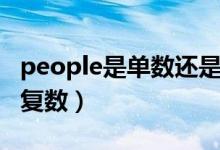 people是单数还是负数（people是单数还是复数）