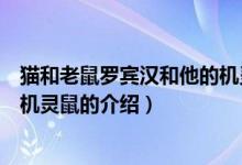 猫和老鼠罗宾汉和他的机灵鼠（关于猫和老鼠罗宾汉和他的机灵鼠的介绍）