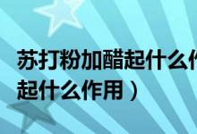 苏打粉加醋起什么作用通下水道（苏打粉加醋起什么作用）