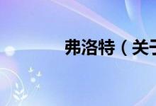 弗洛特（关于弗洛特的介绍）