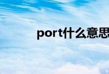 port什么意思（port什么意思）