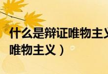 什么是辩证唯物主义的基本观点(什么是辩证唯物主义)
