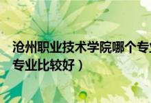 沧州职业技术学院哪个专业好（沧州职业技术学院中专什么专业比较好）