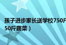 孩子进步家长送学校750斤蔬菜过程（孩子进步家长送学校750斤蔬菜）