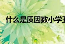 什么是质因数小学五年级（什么是质因数）