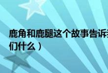 鹿角和鹿腿这个故事告诉我们（鹿角和鹿腿这个故事告诉我们什么）