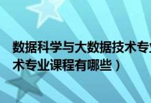 数据科学与大数据技术专业课程安排（数据科学与大数据技术专业课程有哪些）