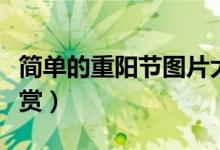 简单的重阳节图片大全（简单的重阳节图画欣赏）